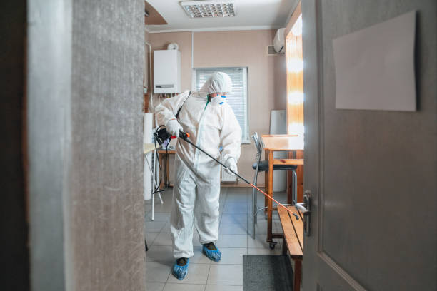 Best Industrial Mold Remediation  in Pottsboro, TX